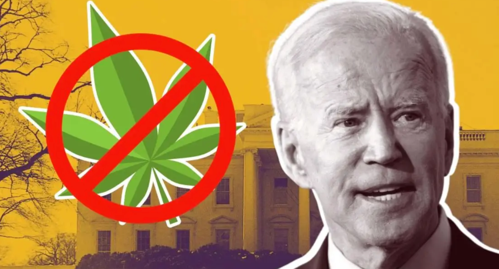 Why The Biden Administration Advises Applicants Not To Invest In Cannabis: 'Not Knowing Is Not An Excuse'