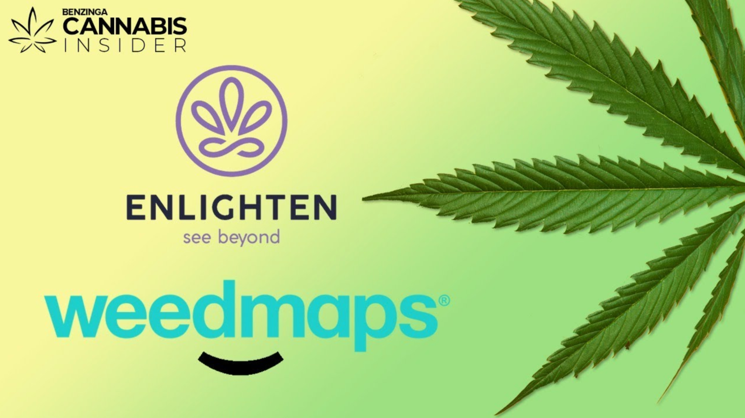 [Video] What Do Amazon And Weedmaps Have In Common? It's All About How They Make Their Money