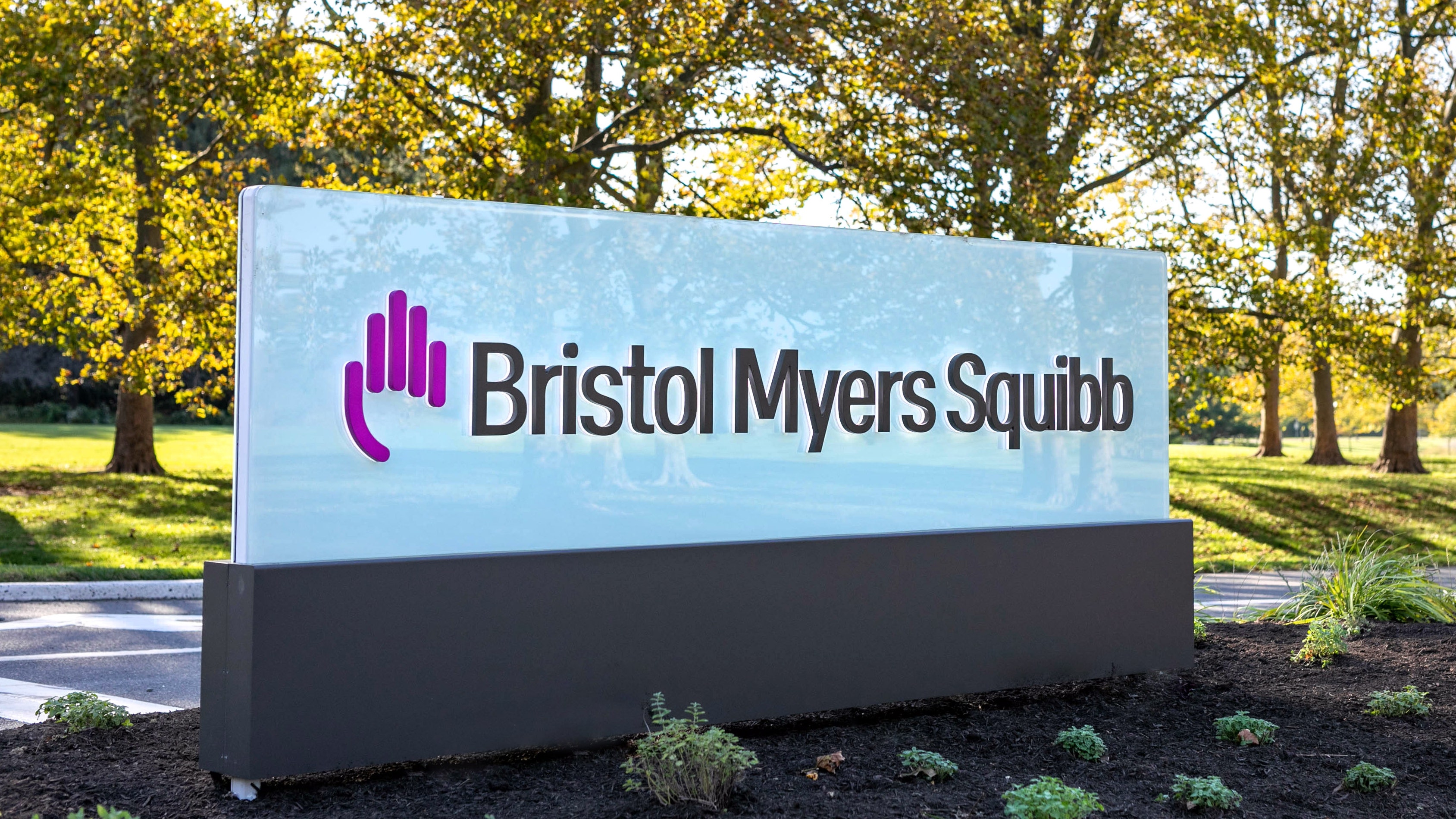 Why Bristol-Myers Squibb Stock Fell Today