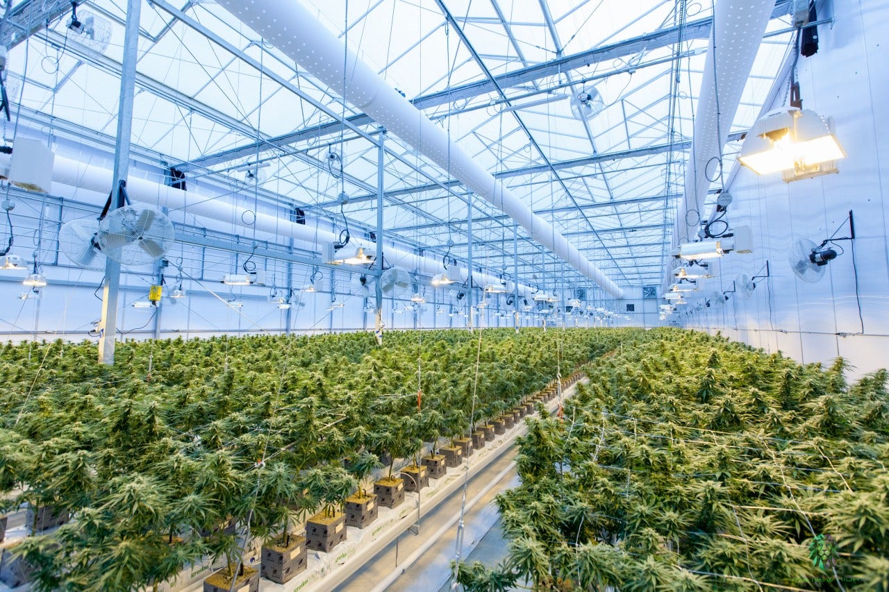Marijuana REIT Innovative Industrial Properties Expands Partnership With Curaleaf