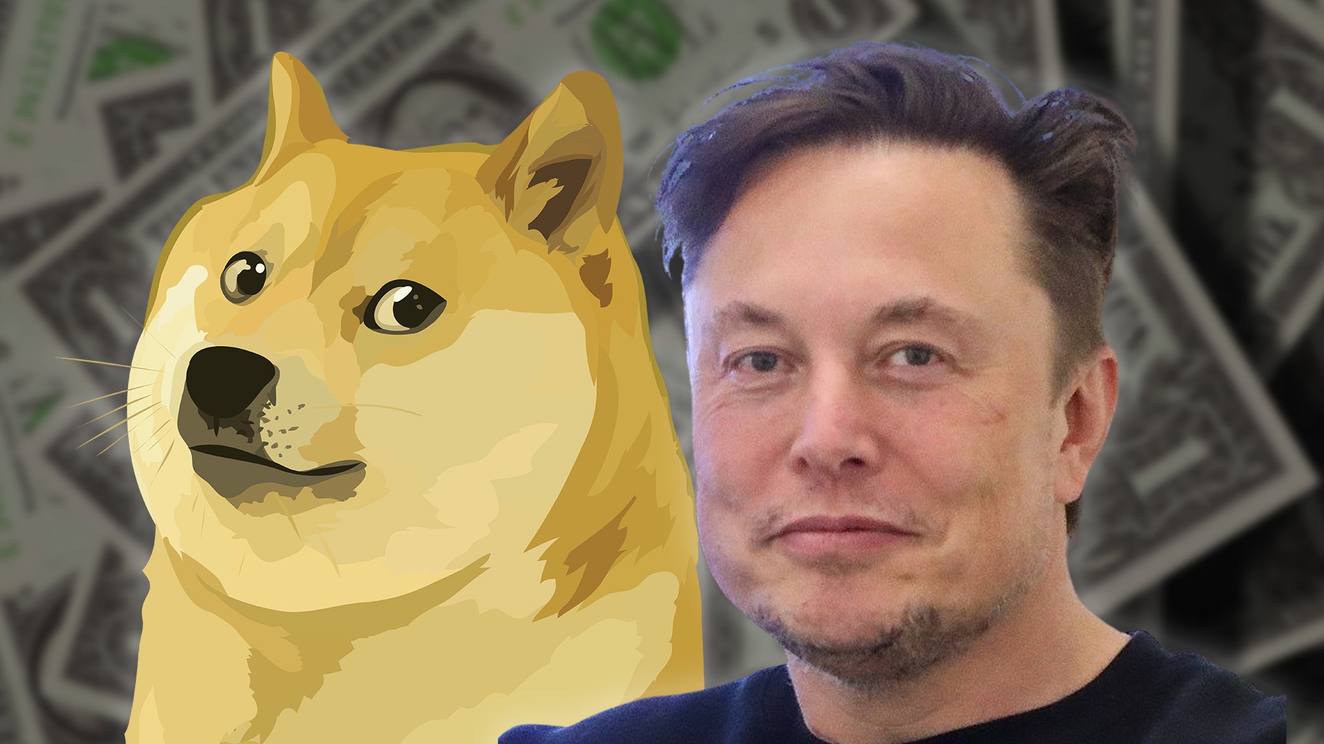If You Invested $100 When Elon Musk First Tweeted About Dogecoin, Here's How Much You'd Have Now