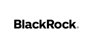 BlackRock Attacks Directors Representing Over 4 Tech Boards: FT