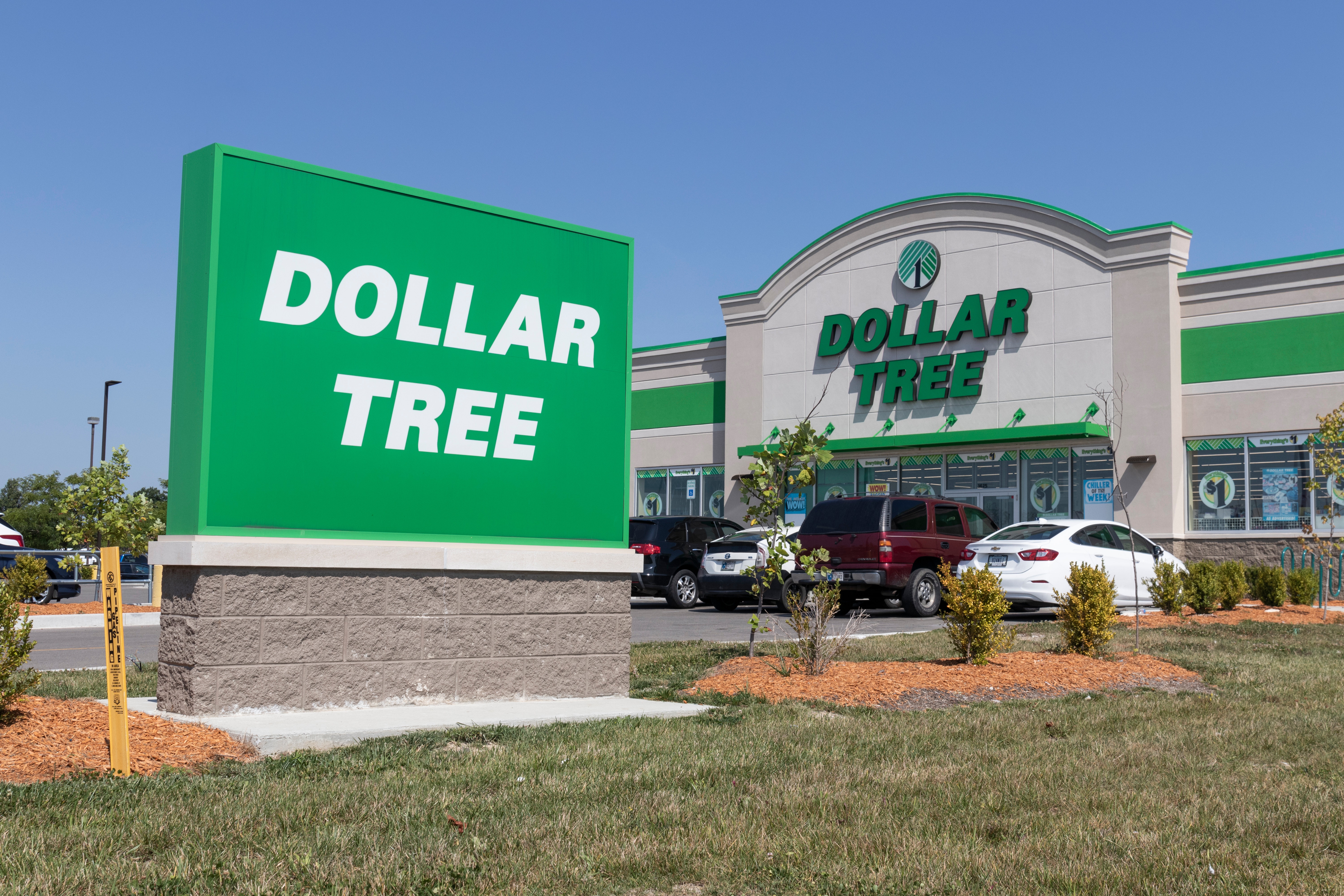 Can Dollar Tree Rebound On Strength Of Frugal Consumers?