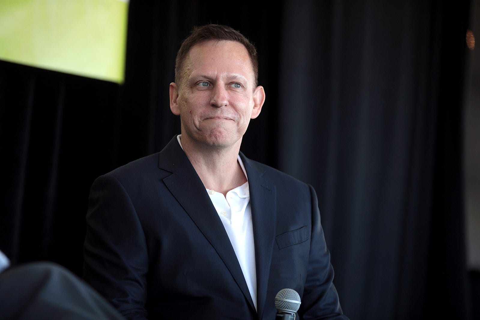 Elon Musk Joined By Fellow 'PayPal Mafia' Member And Key Trump Supporter Peter Thiel In Praising Desantis: 'Best Of The Governors'