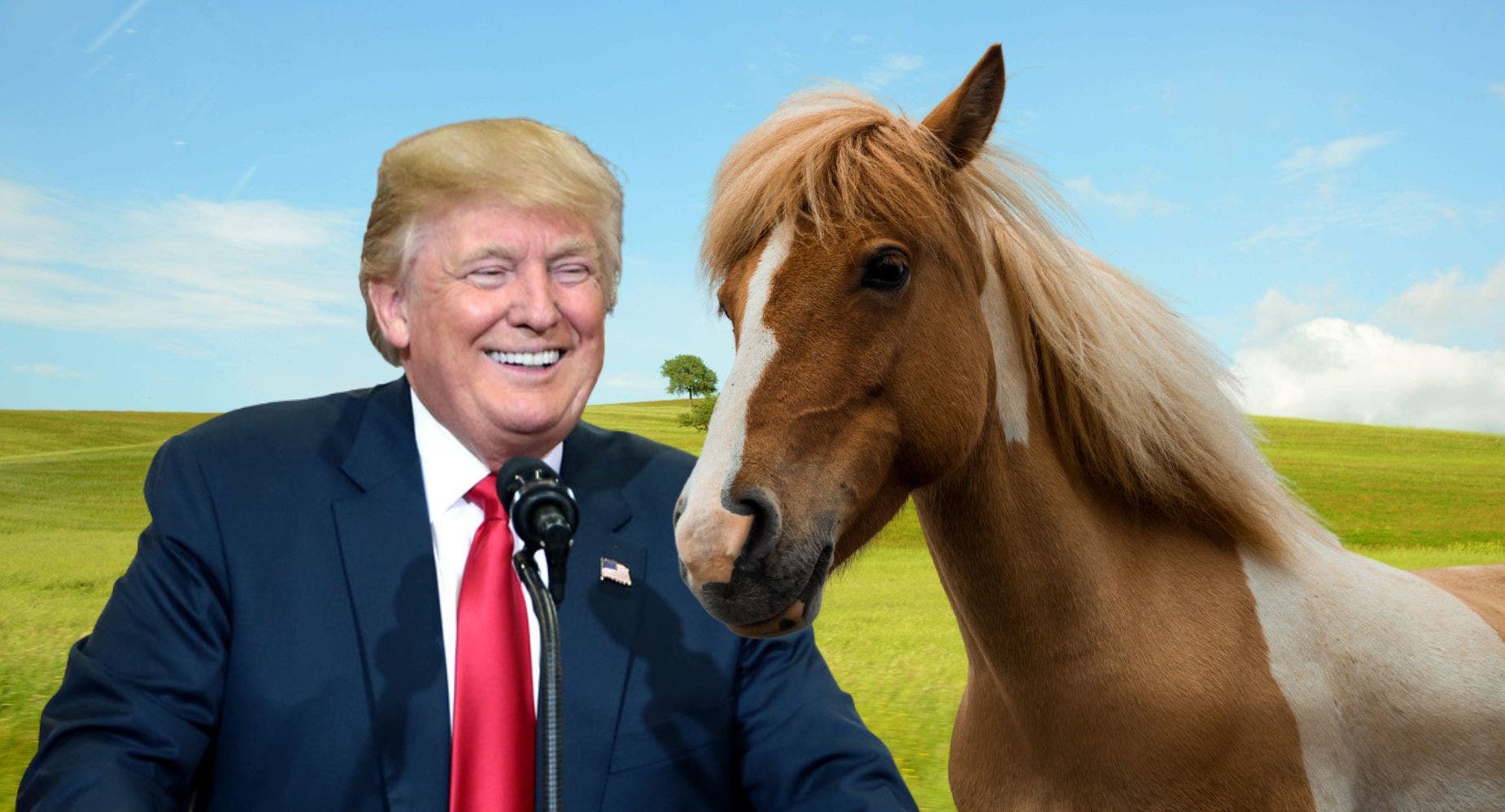 Trump Once Tried To Foot His $2M Legal Bill By Offering A $5M Horse, New Book Reveals