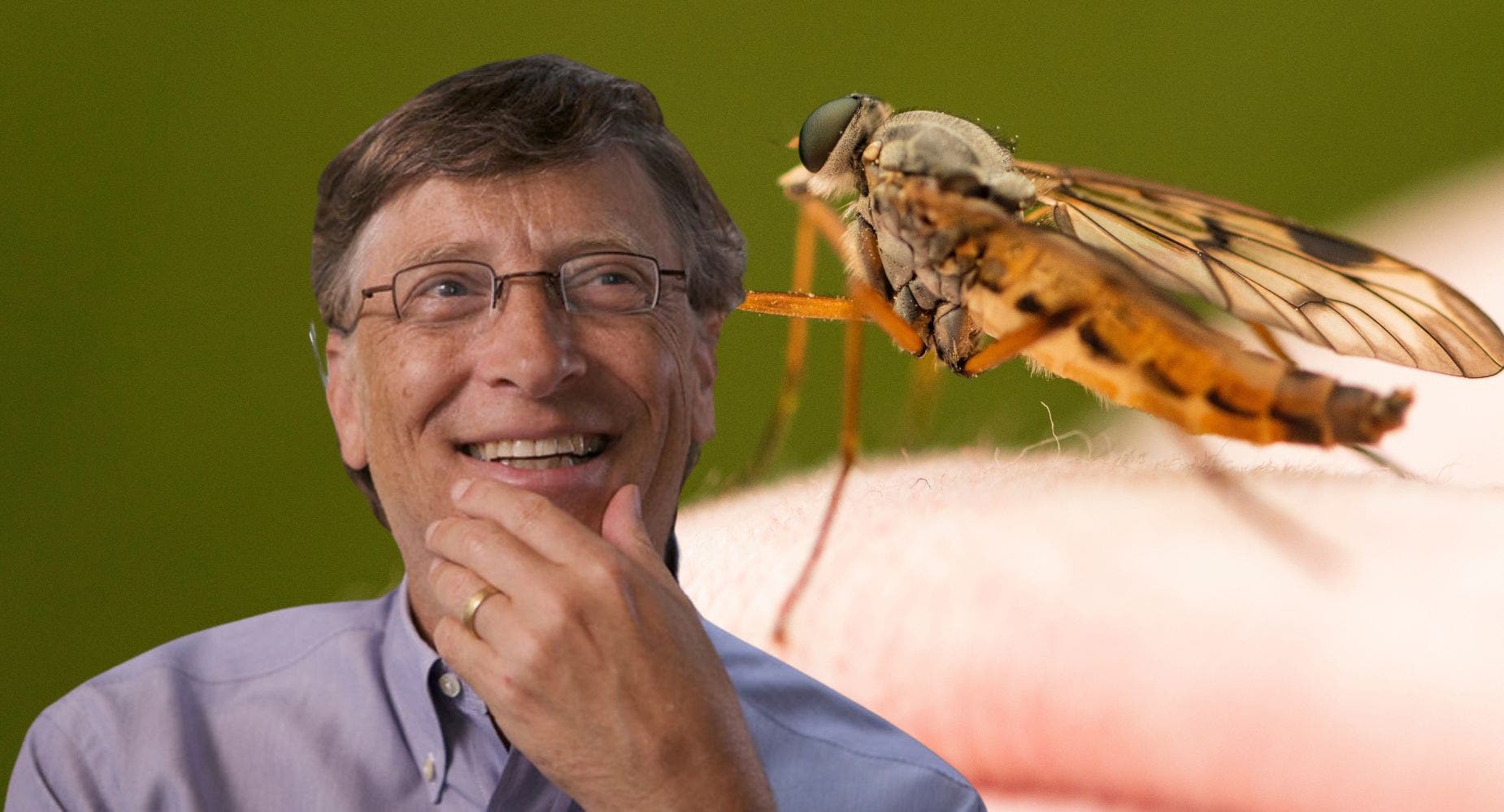 [WATCH] Bill Gates Unleash A Swarm Of Mosquitoes Onto An Unsuspecting Crowd