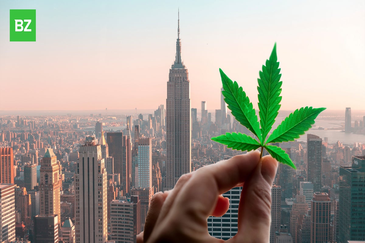 GOP Lawmaker Questions MMJ Legalization, Calls It 'Stepping Stone' To Recreational Use - Benzinga