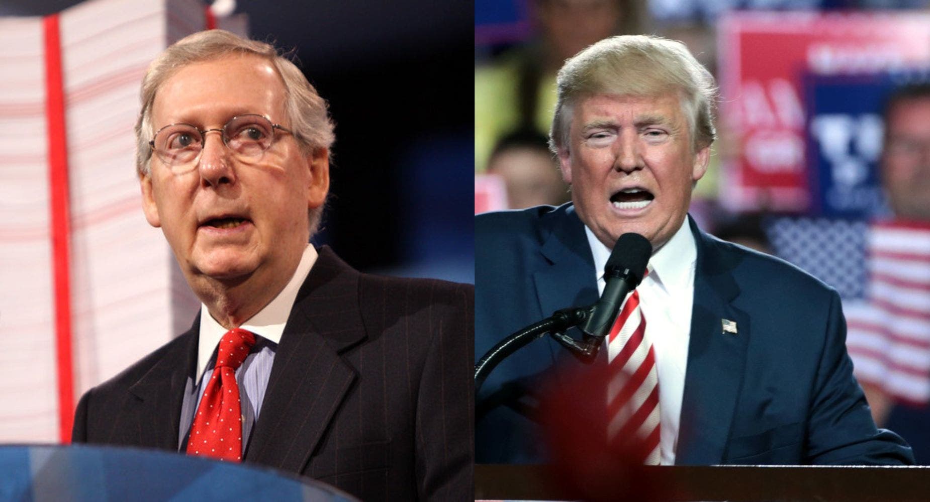 Trump Says Mitch McConnell Has A 'DEATH WISH,'  Makes Racial Slur Against His Wife Elaine Chao