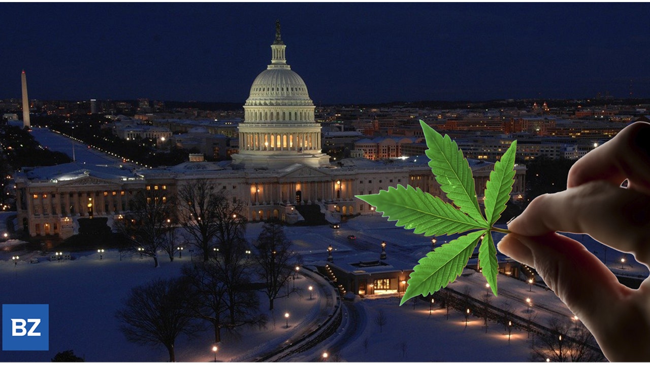 GOP Senators Say No To Intelligence Jobs For Past Pot Users, Sen. Wyden Has Ace Up His Sleeve
