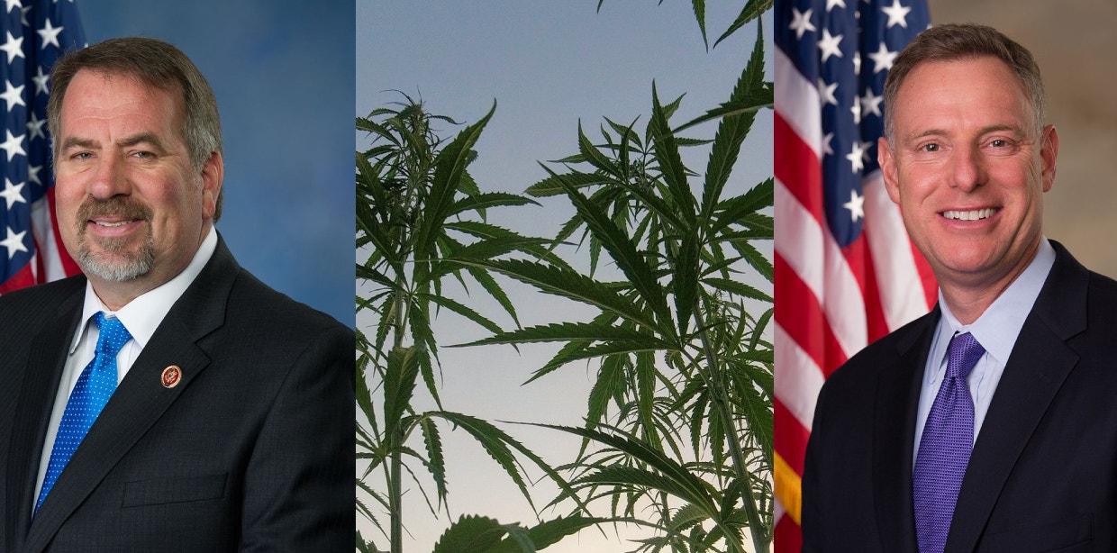 New Bipartisan Bill Aims To Crack Down On Illegal Cannabis Grows & Use Of Dangerous Pesticides