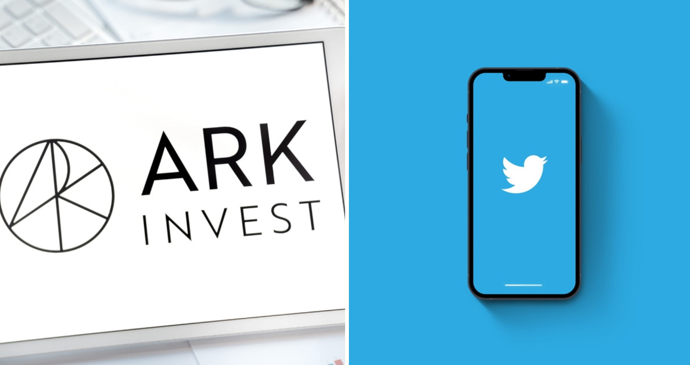 Here's What Ark Funds Thinks Of Elon Musk's Twitter Purchase: Will It Buy Shares Again?
