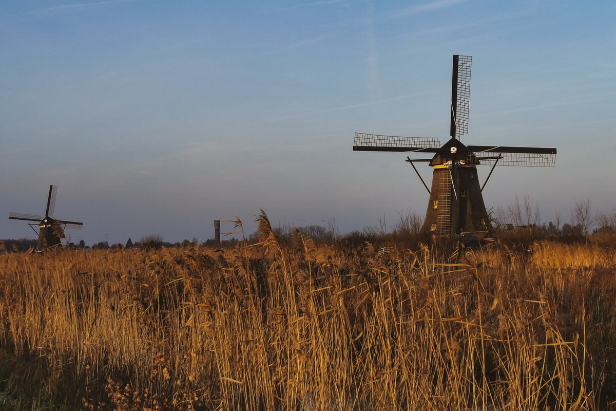 Canadees paddo-kitbedrijf verwerft gevestigde Nederlandse boerderij om productie uit te breiden – Red Light Holland (OTC:TRUFF)