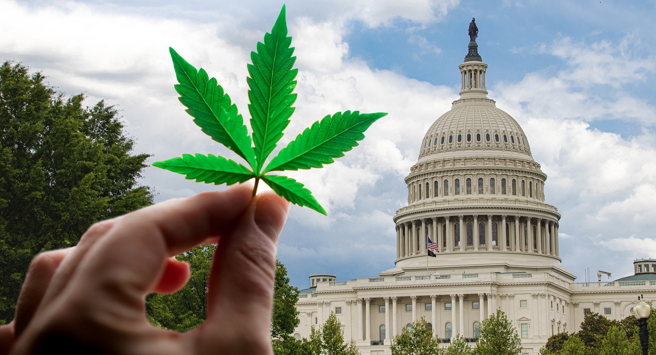 Biden's Pardon Could Help SAFE Plus, Cantor Fitzgerald Says: What Happens Now To Cannabis Stocks?