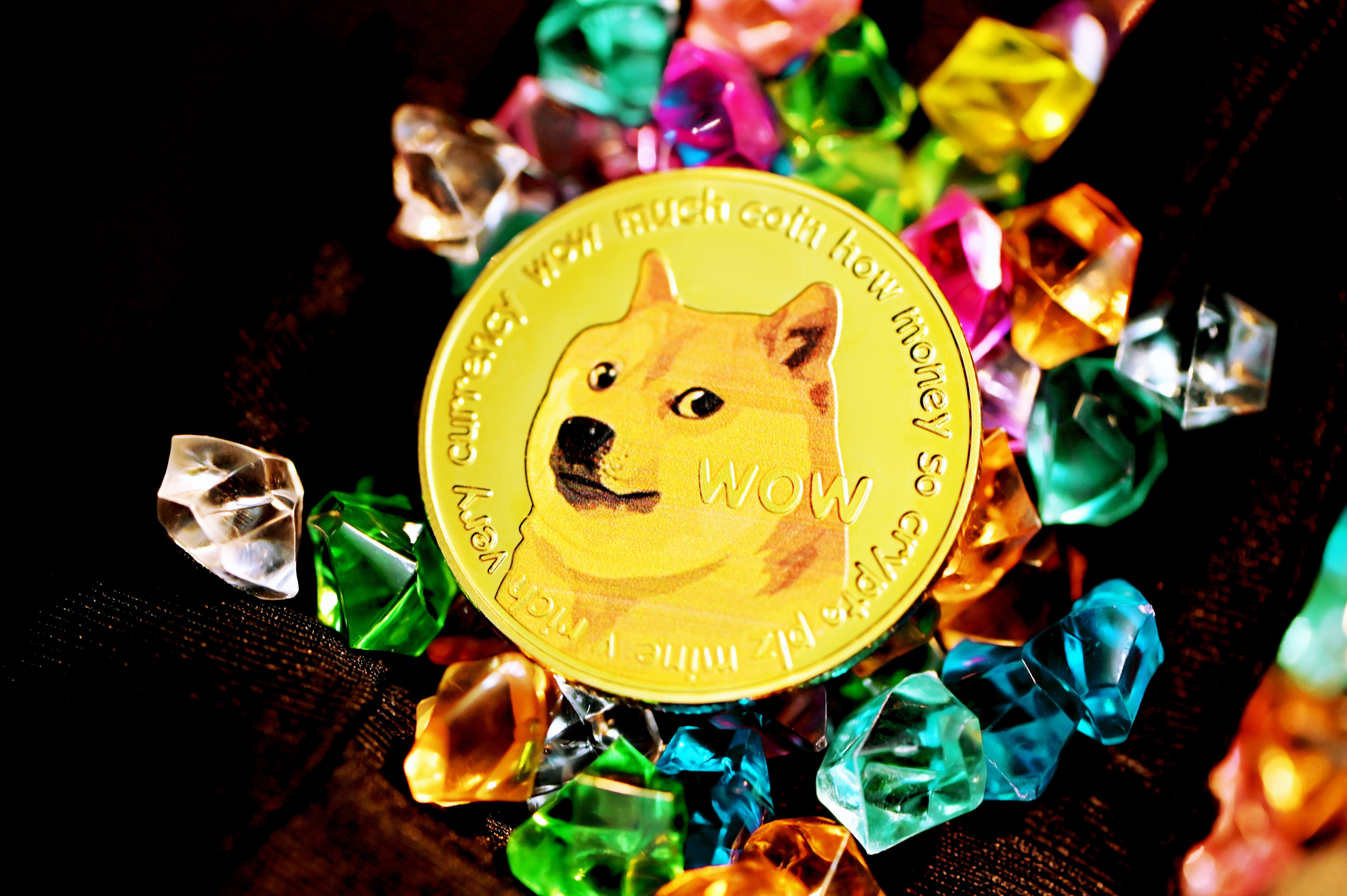 DogeChain On The Move, Reaches New Heights In Just 2 Months