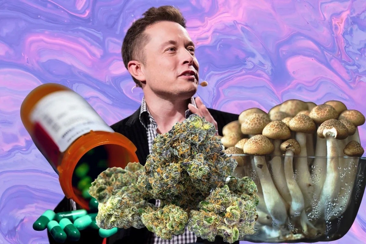 Elon Musk's 'Exploratory Journeys' And Charts Explaining Benefits Of Psychedelics Over Alcohol