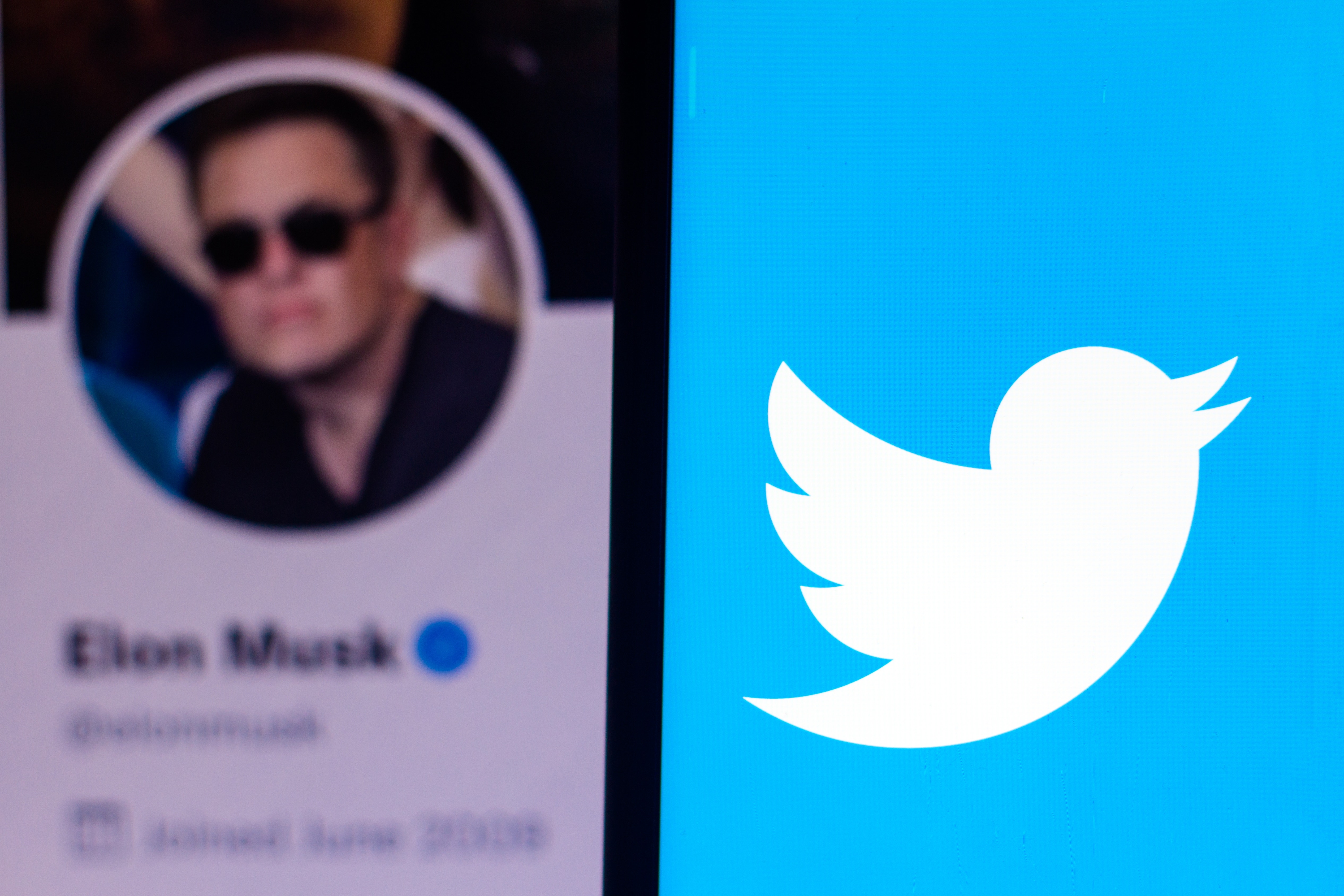 Twitter Seeks To Be More Aligned With Elon Musk On Permanent Ban Policy, But Trump Return Unlikely: Report