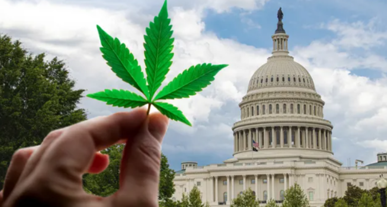 Schumer Faces Growing Pressure To Get Cannabis Banking Reform Through The Senate