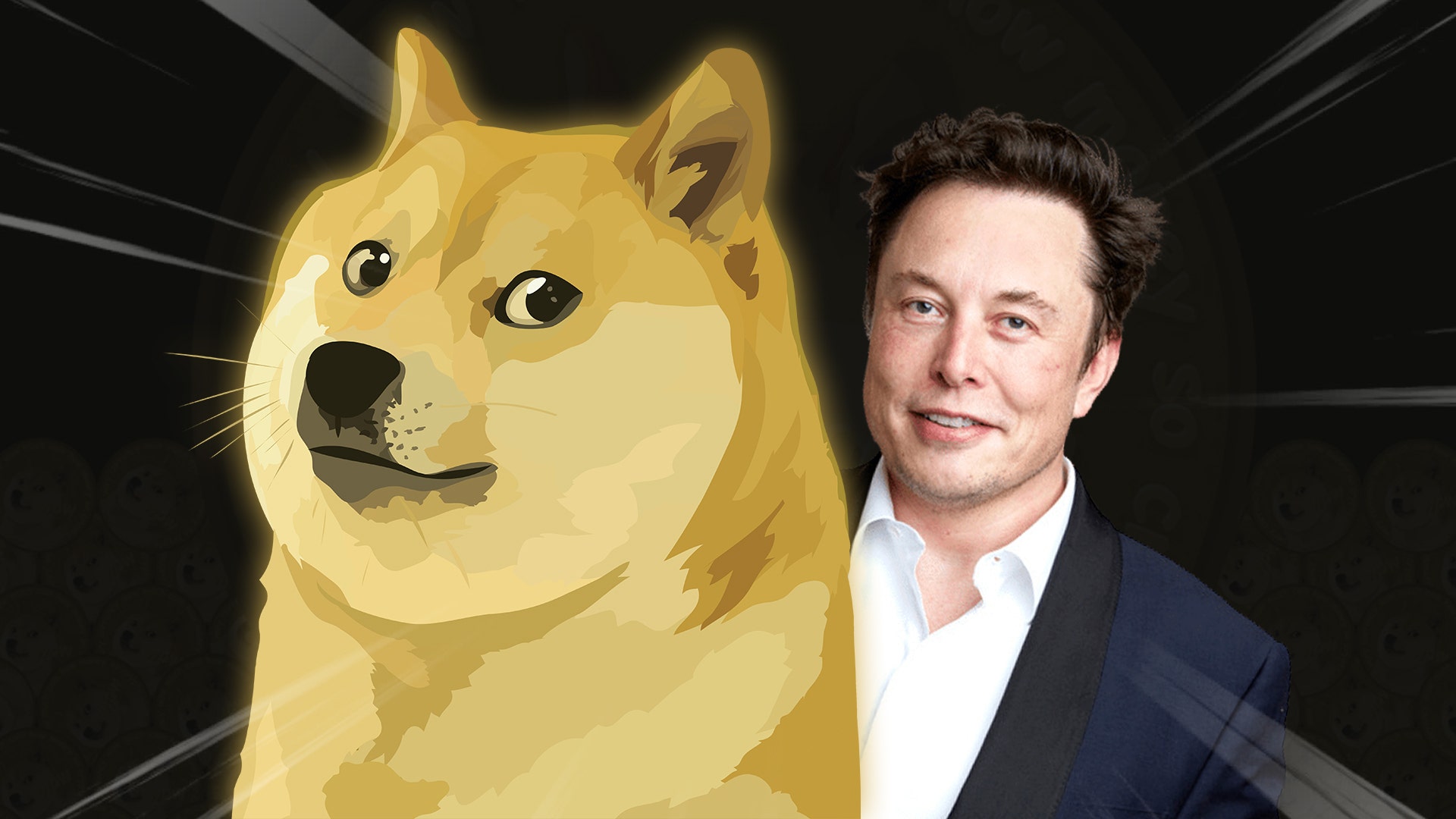 Is The Dogecoin Slump Just A 'Blip' Before A Rally? Here's What Experts Say