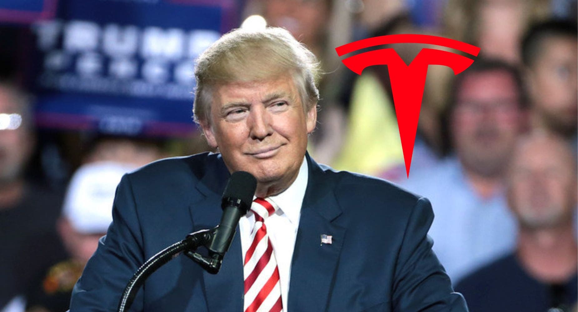 If You Invested $1,000 In Tesla Stock When Donald Trump Announced He Was Running For President, Here's How Much You'd Have Now