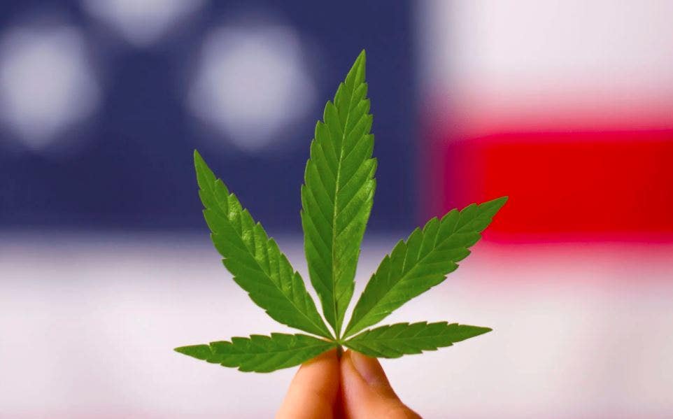 Maryland Voters Overwhelmingly Approve Cannabis Legalization