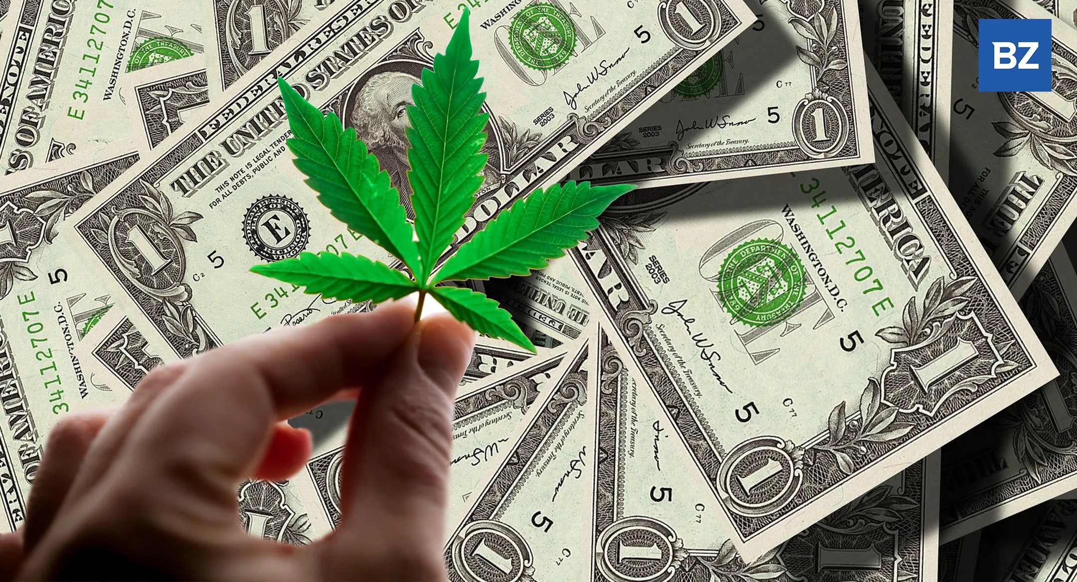Cannabis Earnings Are Flooding In: Here's An Analyst To Help You Digest Them, Four Companies For The Price Of One