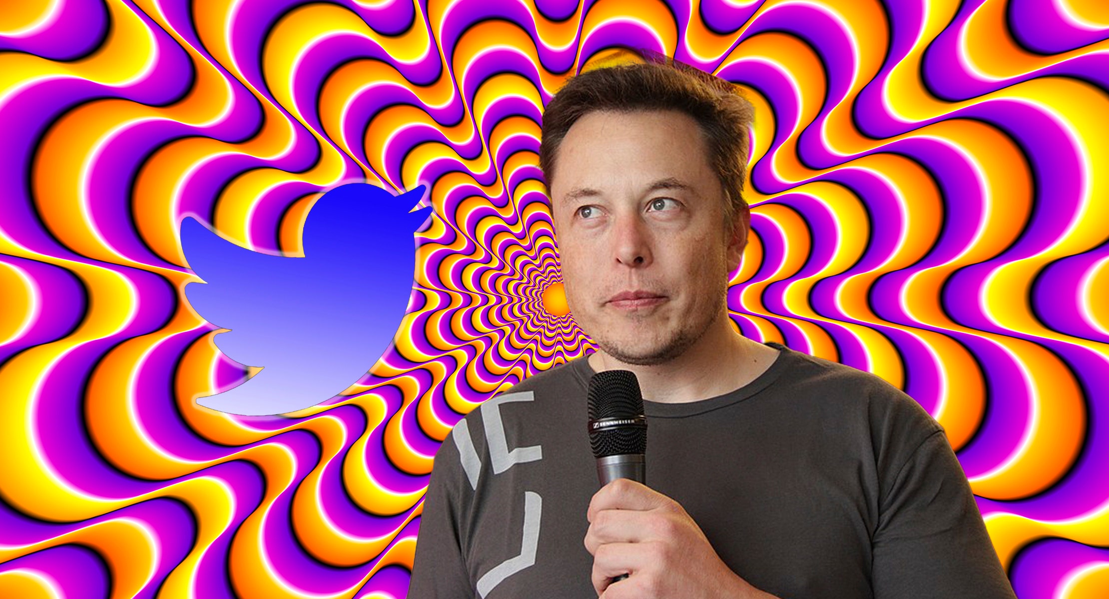 Elon Musk Joins Twitter Conversation About Psychedelics: A Debate On Empathy