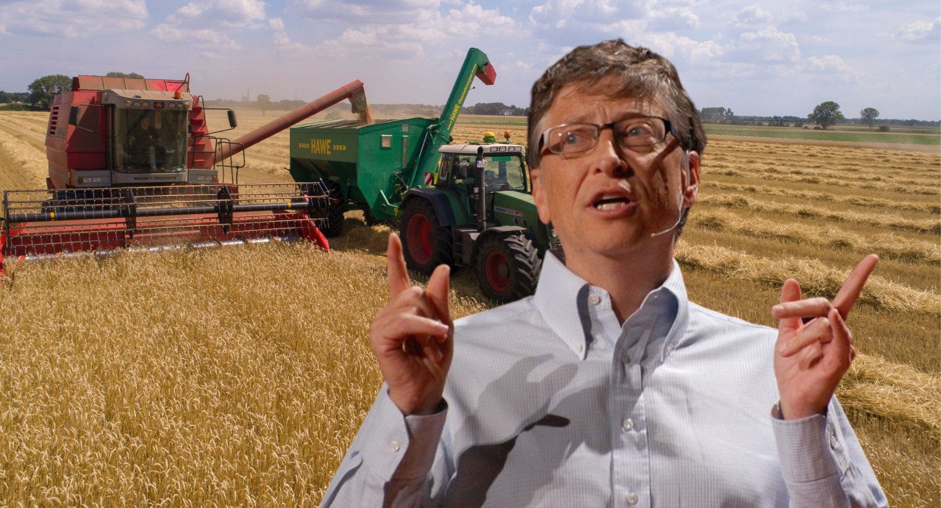 Bill Gates Says Every Piece Of Bread He's Ever Eaten Is From 'Genetically-Modified Wheat': Why He's Rooting For GMOs