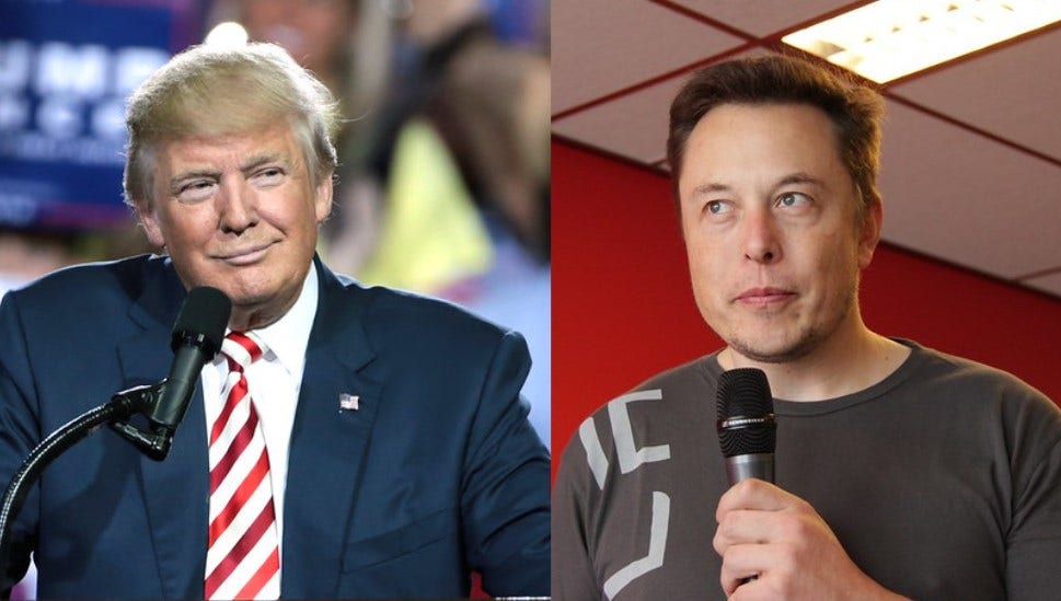 Elon Musk Runs Poll On Trump's Twitter Reinstatement, Revokes Ban On Other Controversial Accounts: Latest Poll Numbers