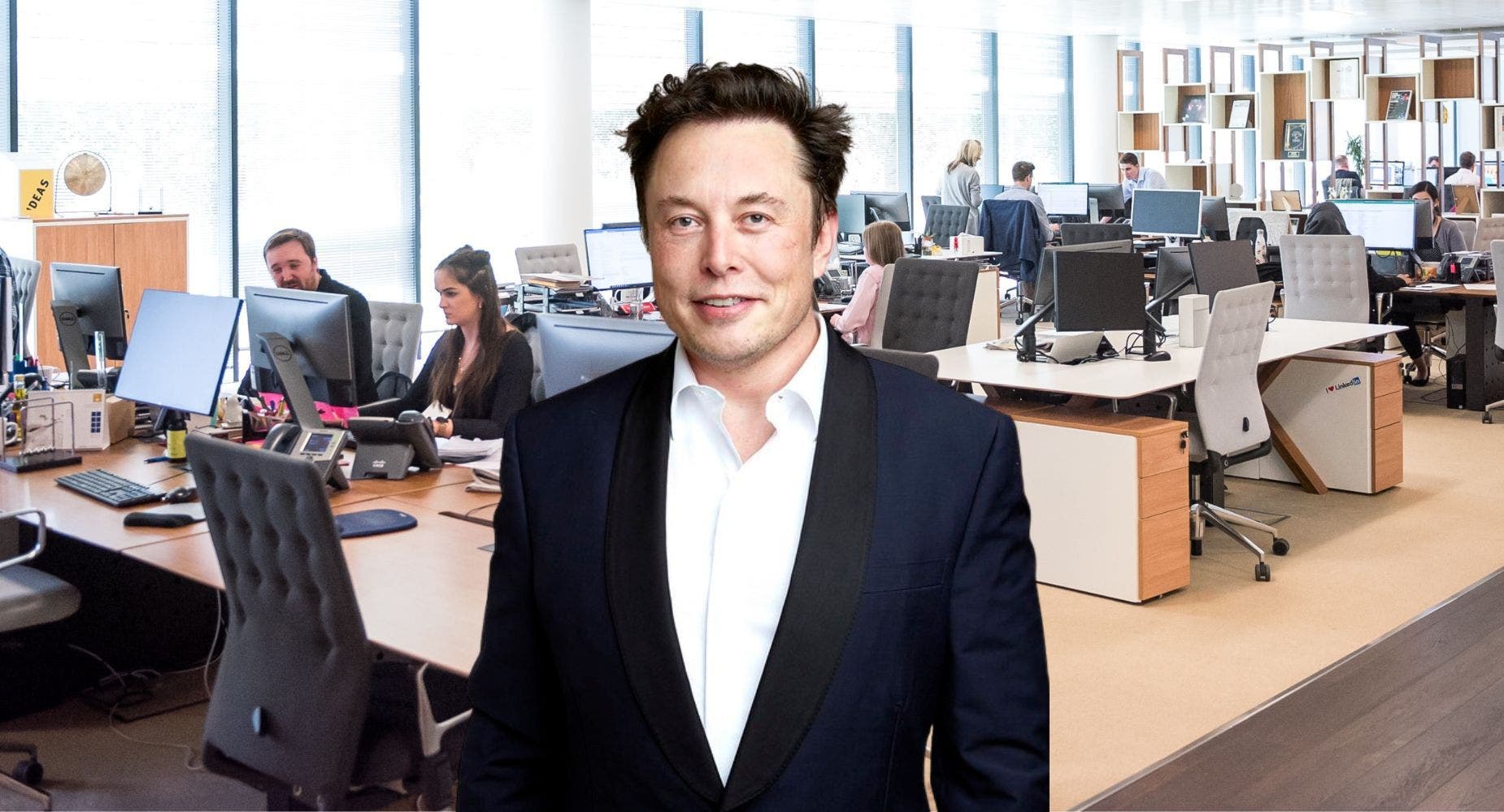 Would You Work For Elon Musk At Twitter? 69% Of Benzinga Followers Say This