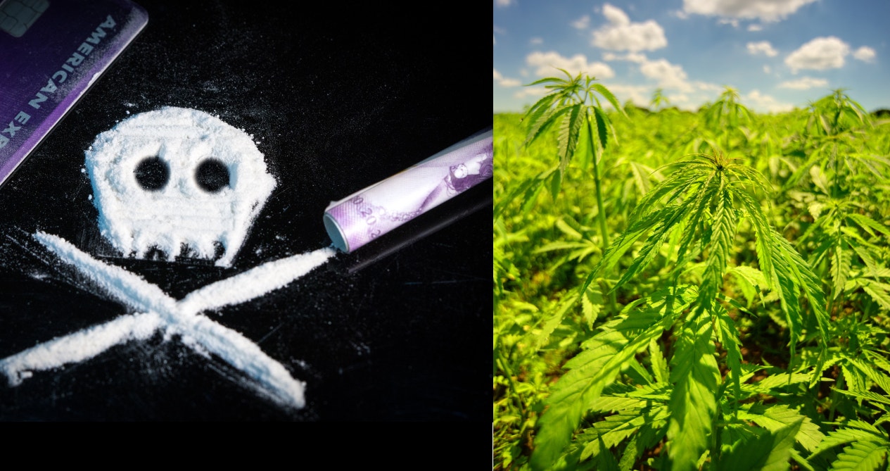 DEA Legalizes Cocaine Derivative As Diagnostic Aid For Parkinson's, Ignoring Cannabis Experts Seeking Same