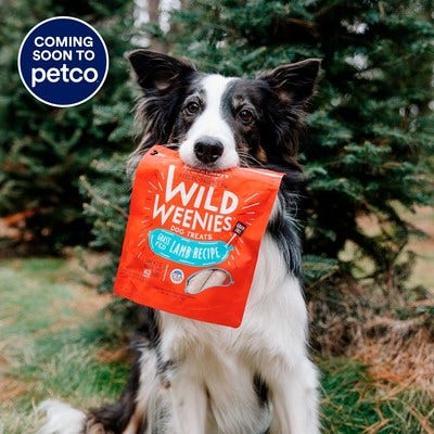 Petco Gains After Q3 Revenue Beat; Inks Partnership With Stella & Chewy's