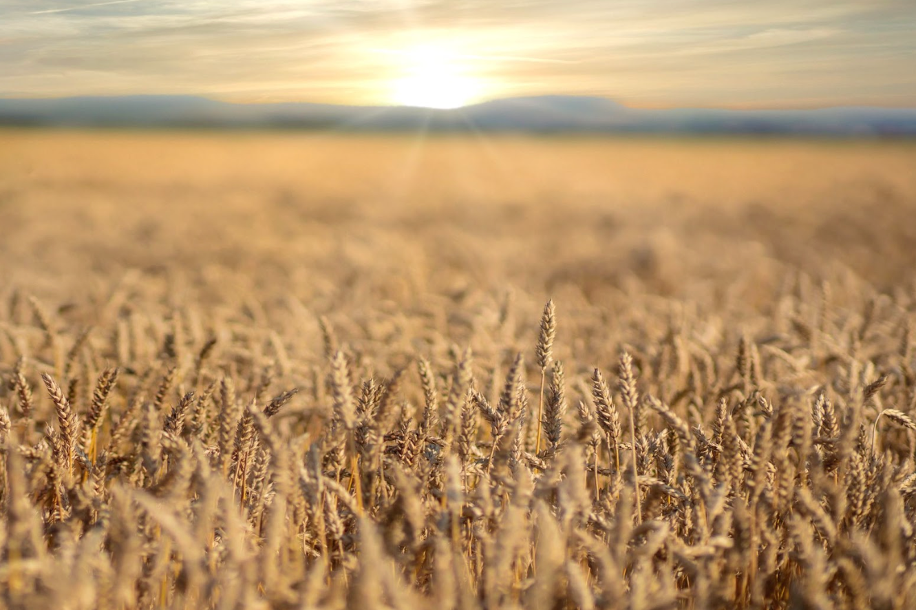 This Company Looks To Change The AgTech Industry With The Help Of Some Strategic M&A