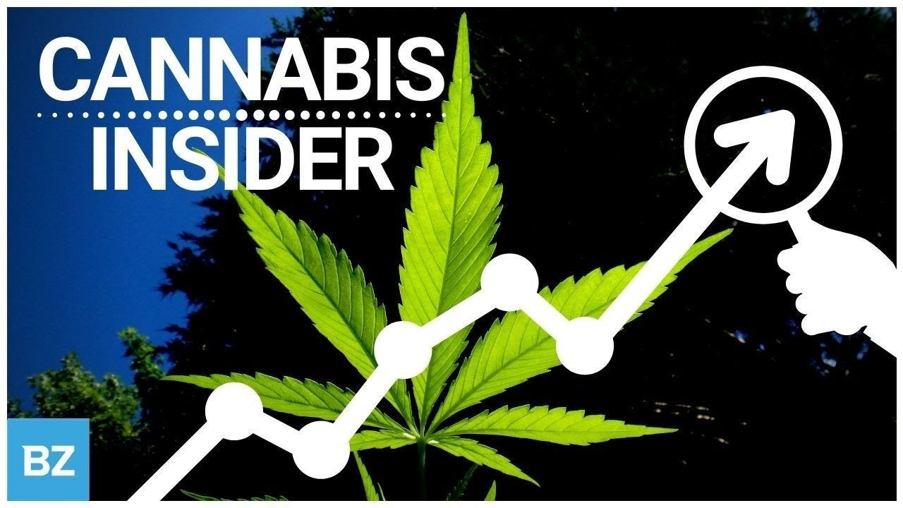 EXCLUSIVE VIDEO: Cannabis Leaders High Tide, Trulieve & Boston Beer Co. Share An Inside Look Intro Their Strategy