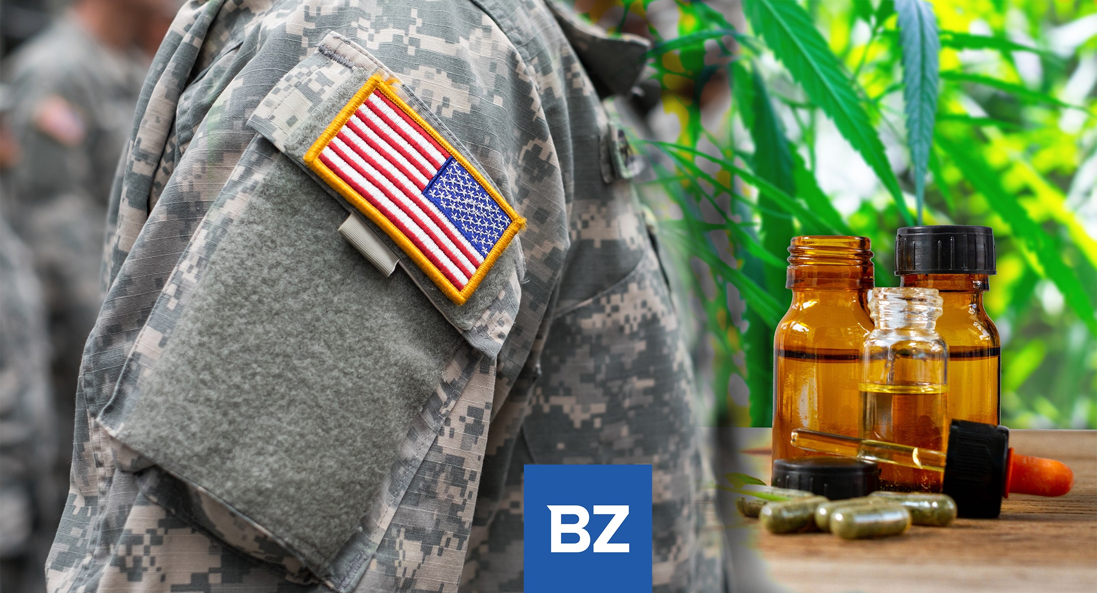 Military Veterans Push Hard For Medical Marijuana In This State: 'No One Has Died From Cannabis Overdose'