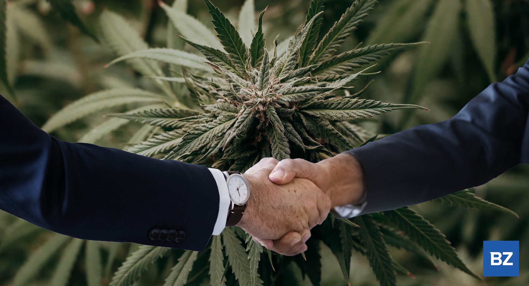 Key Marijuana Executive Changes: Who Will Lead MariMed After CEO's Passing? MJBiz CEO Steps Down