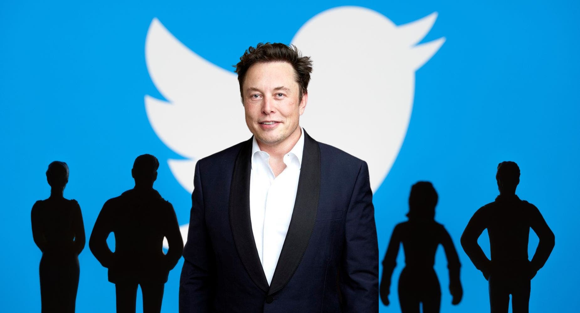 Who Could Be The Next Twitter CEO After Elon Musk? A Look At 7 Potential Candidates