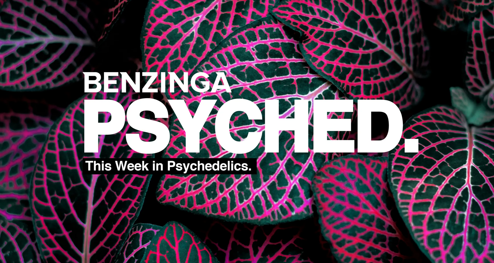 Psyched: First Ayahuasca Pill Created, Psychedelics Legalization Predicted, UK's Research Support And More