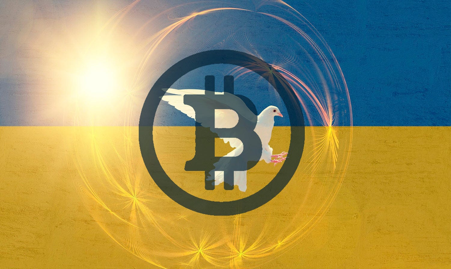 UN, Stellar Development Foundation Now Collaborating To Distribute Crypto To Help Displaced People In Ukraine