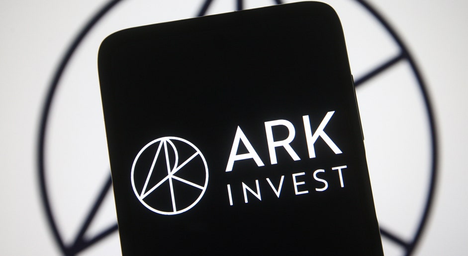 How Tesla Bull Cathie Wood's Ark Managed Its EV Holdings In 2022