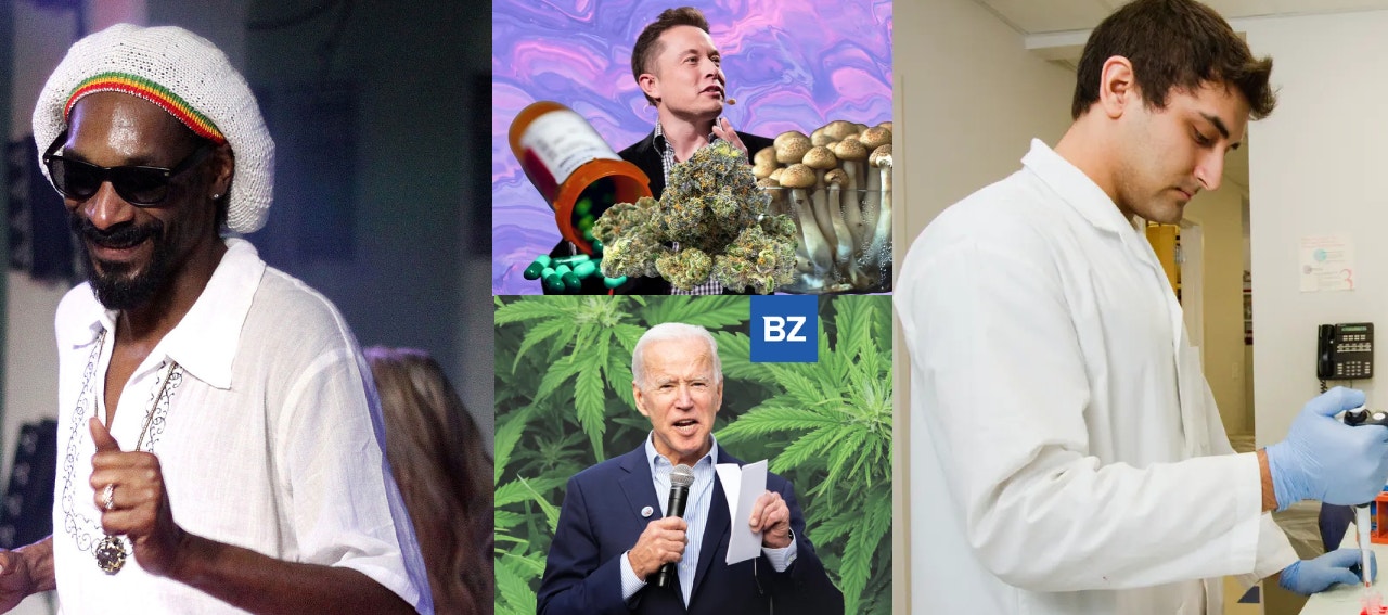 From Cannabis Killing 100% Cancer Cells To Snoop Dogg Microwaving His Blunts: Benzinga's Most-Read Marijuana Stories In 2022