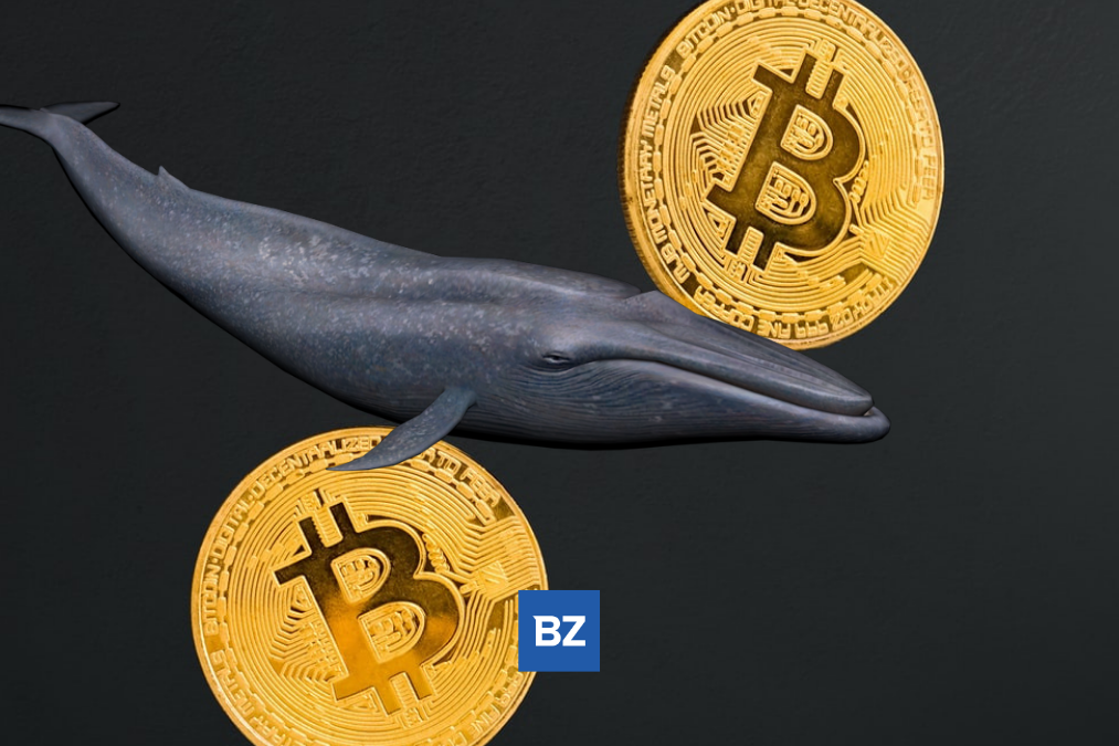 Bitcoin Whale Moves 2,469 BTC Off Coinbase