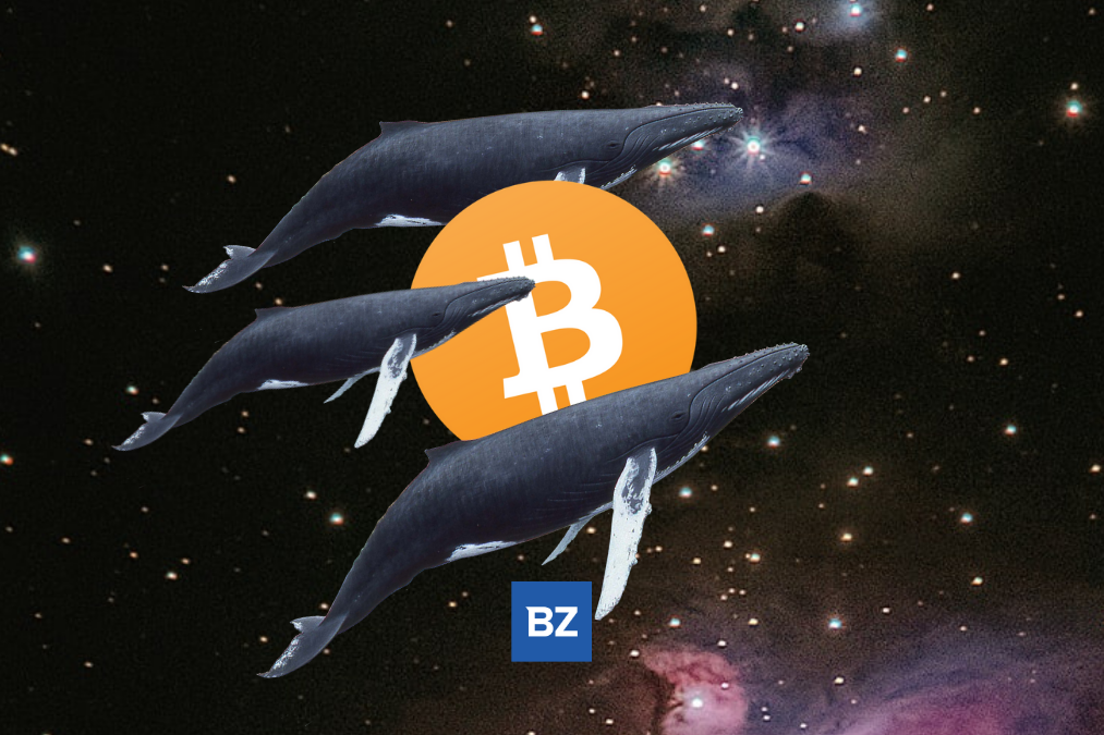 Bitcoin Whale Moves 3,400 BTC Off Coinbase