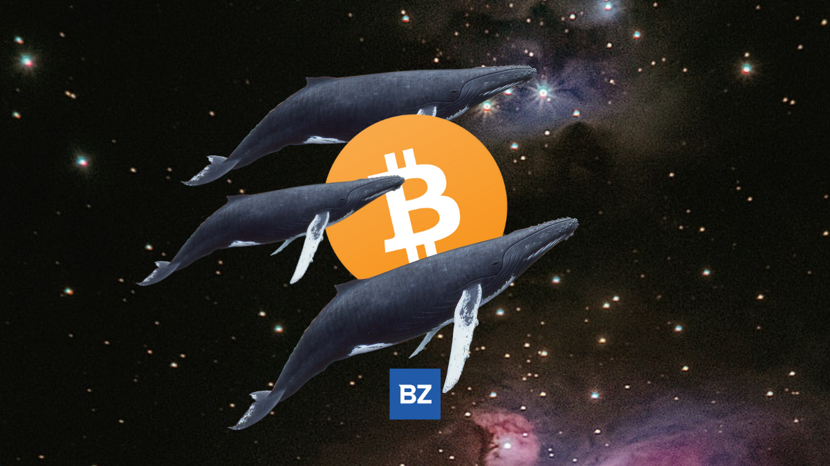 Bitcoin Whale Moves 1,300 BTC Off Coinbase
