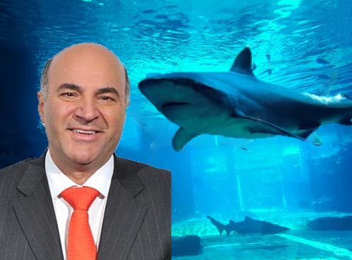 'Shark Tank's' Kevin O'Leary Invests In UAE's Booming Market Amid ...