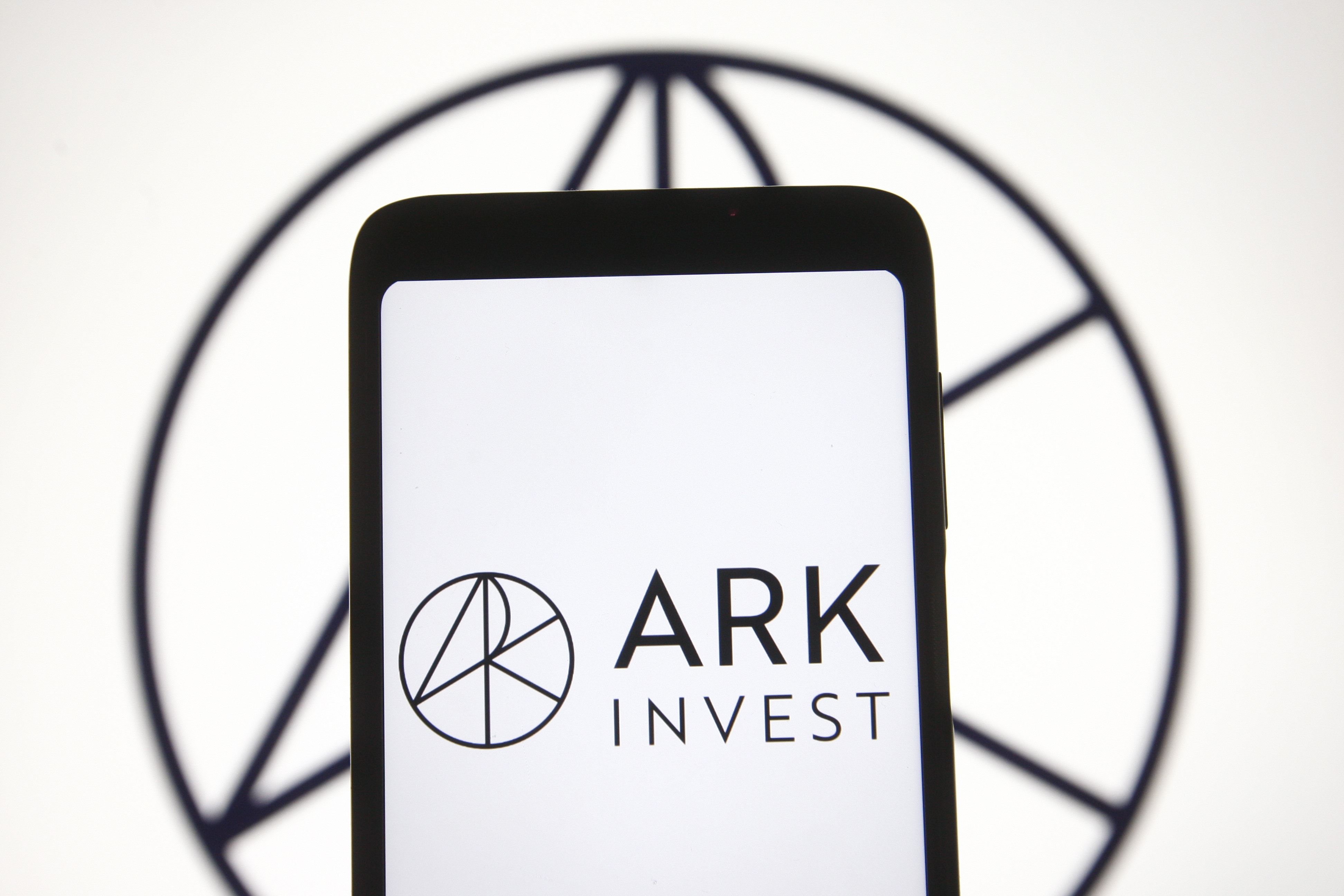 Cathie Wood Makes This Molecular Diagnostics Company Top Holding Of Ark Invest's Flagship Fund, Catapulting Past Zoom, Tesla