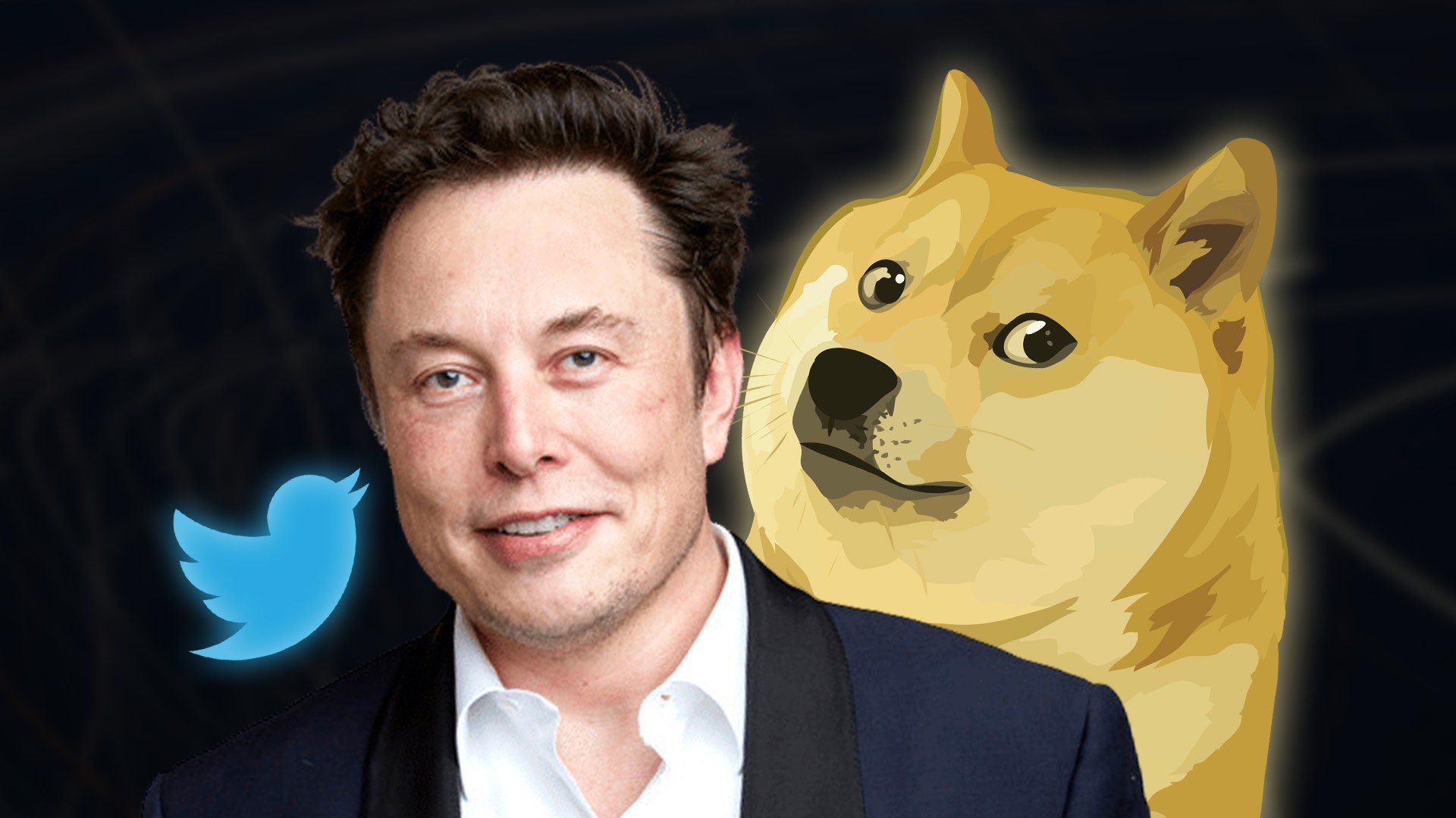 Elon Musk's Favorite Meme Crypto Finally Gets Twitter Price Index Support
