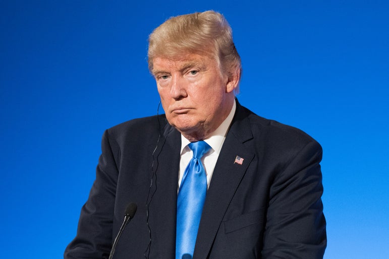 Donald Trump’s NFTs lose 73% in value in a month as investor interest wanes