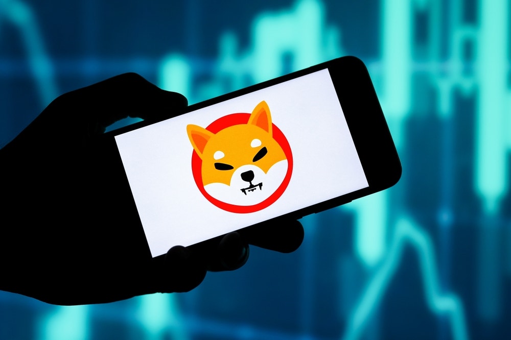 Forget Dogecoin, Shiba Inu Emerges As Favorite Holding Among New Crypto Wallets