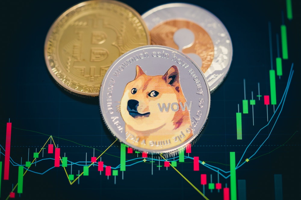 Dogecoin Rises On Musk Effect, Bitcoin, Ethereum Slide: Analyst Says Inflation Risks 'Need To Go Away' Amid Regulatory Fears