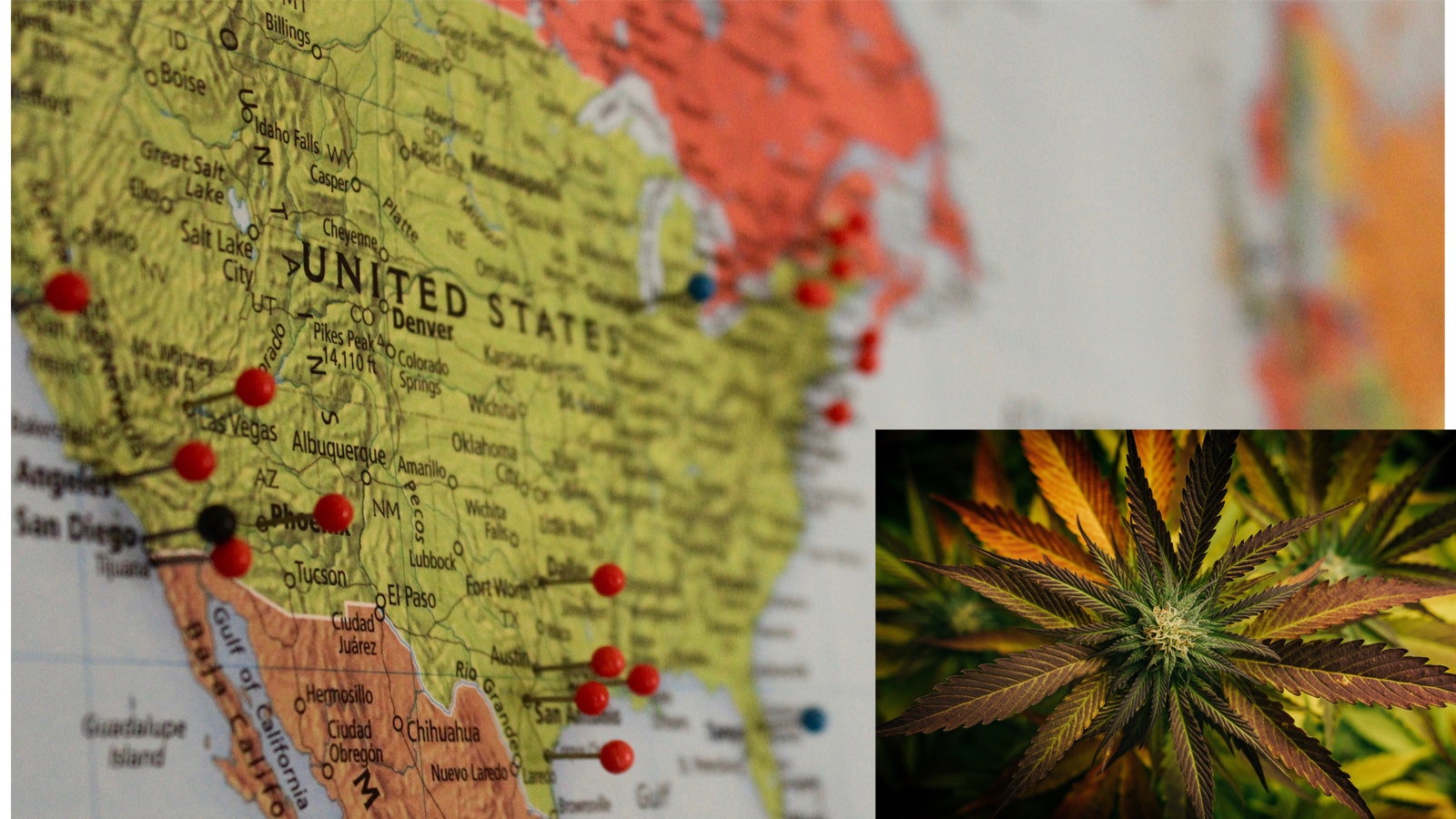 California Interstate Marijuana Commerce? Mass Expungements In RI & More Cannabis Policy Reform